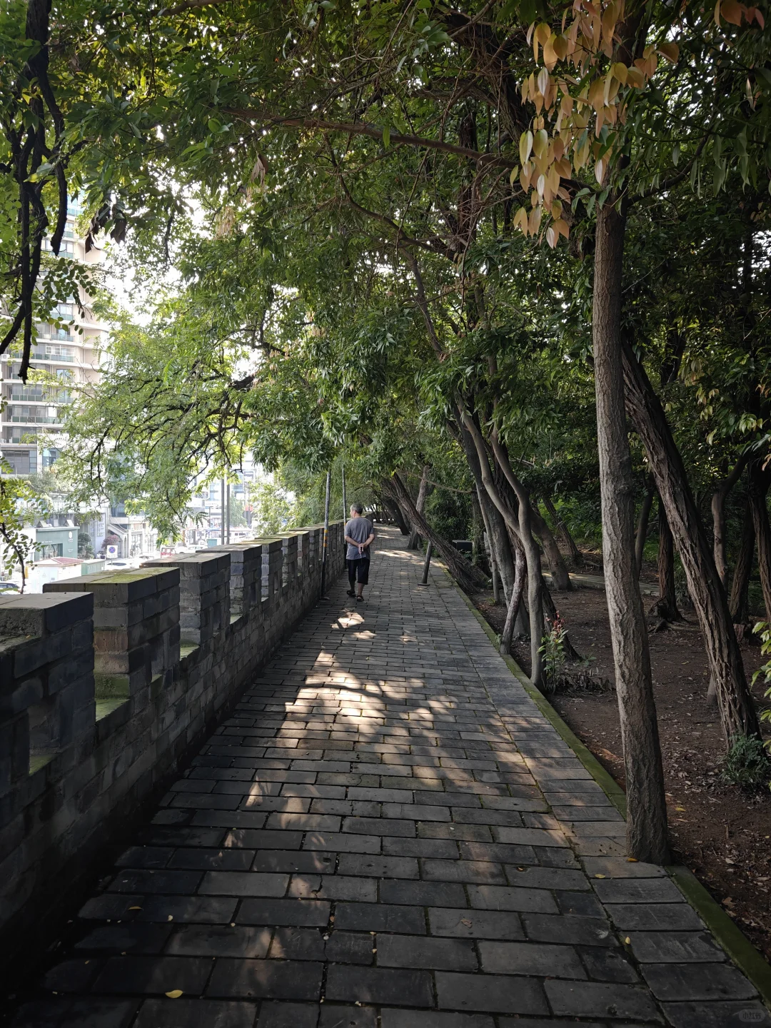 树荫下沿墙延伸的房湖步道