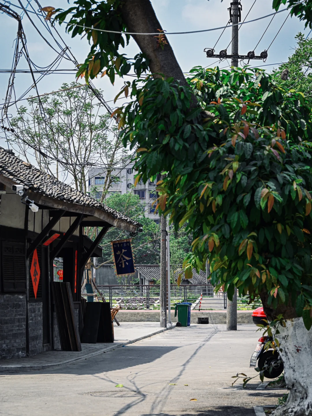 黑塔街树荫下的巷道
